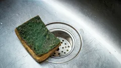 Co je špatně na obyčejné houbičce na nádobí – a čím ji raději nahradit